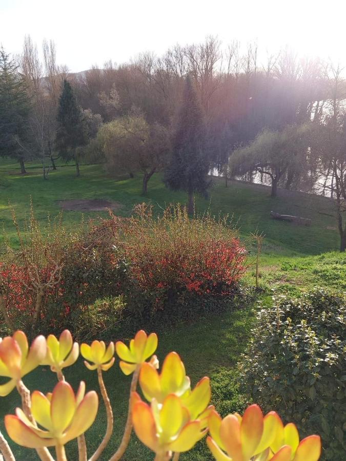 Beautiful Village House Next To Garonne River! Couladere Kültér fotó