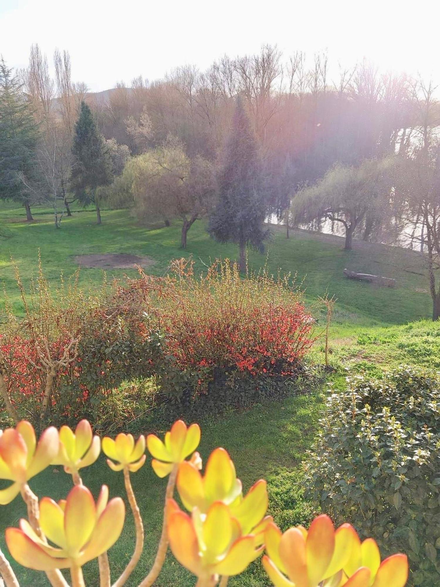 Beautiful Village House Next To Garonne River! Couladere Kültér fotó